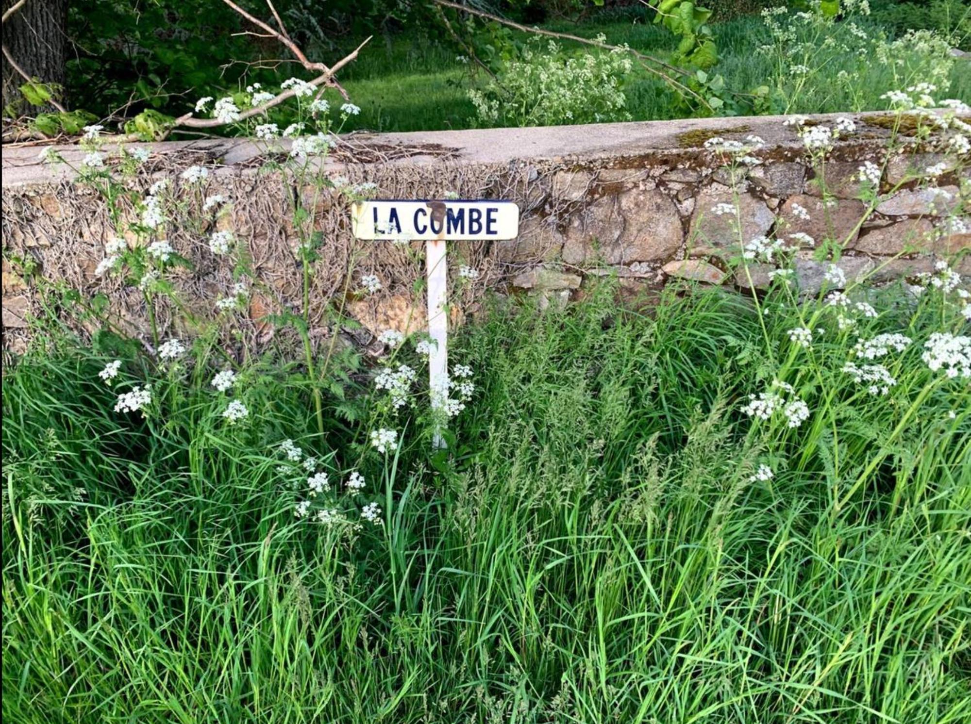 Chateau De La Combe La Celle  Kültér fotó